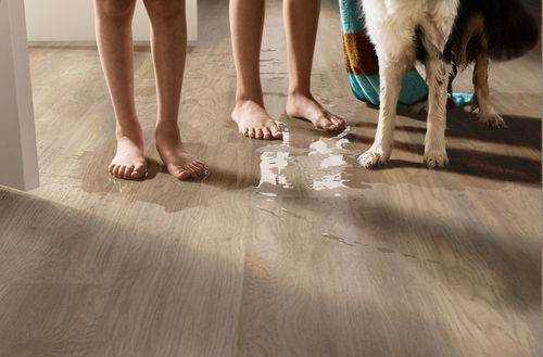 Shaw Infinite 8 Salt River 3339V-02028 7" x 48" Luxury Vinyl Plank (34.98 SF/Box)