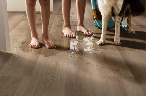 Shaw Infinite 8 Vista 3339V-07192 7" x 48" Luxury Vinyl Plank (34.98 SF/Box)