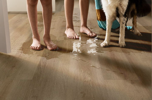 Shaw Infinite 12 Grand Canyon 3342V-02027 7" x 48" Luxury Vinyl Plank (34.98 SF/Box)