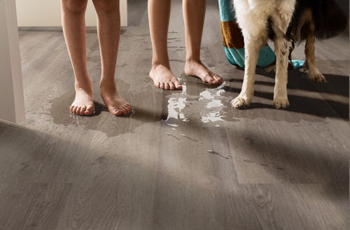 Shaw Infinite 12 Drift 3342V-05100 7" x 48" Luxury Vinyl Plank (34.98 SF/Box)