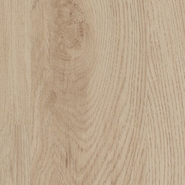 Shaw Infinite 12 Sand Dune 3342V-01169 7