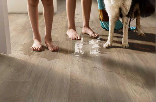 Shaw Infinite 20 3349V-02028 Salt River 7" x 48" Luxury Vinyl Plank (41.98 SF/Box)