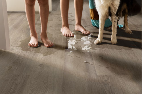 Shaw Infinite 20 3349V-05100 Drift 7" x 48" Luxury Vinyl Plank (41.98 SF/Box)