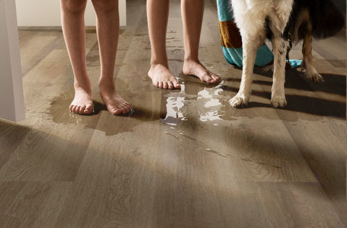 Shaw Infinite 20 3349V-07192 Vista 7" x 48" Luxury Vinyl Plank (41.98 SF/Box)