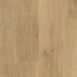Tulip Shell Oak