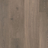 Cloudy Oak