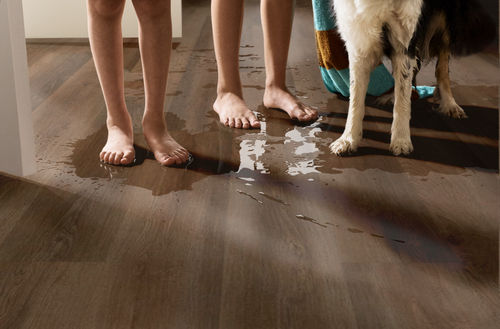 Shaw Infinite LL 3365V-00825 Raw Sienna 6" x 48" Luxury Vinyl Plank (20 SF/Box)