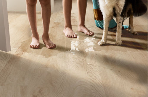 Shaw Infinite LL 3365V-01169 Sand Dune 6" x 48" Luxury Vinyl Plank (20 SF/Box)
