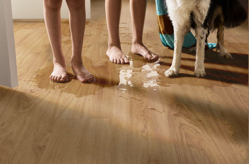 Shaw Infinite LL 3365V-06040 Honeycomb 6" x 48" Luxury Vinyl Plank (20 SF/Box)