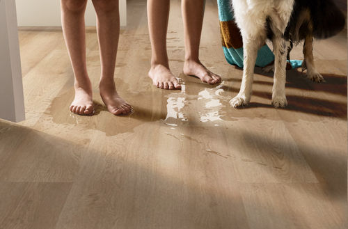 Shaw Infinite LL 3365V-07194 Barley Field 6" x 48" Luxury Vinyl Plank (20 SF/Box)