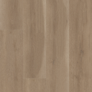 Shaw Floorte Aspire Natural Bevel 3381V-02109 Woodland Truffle 9