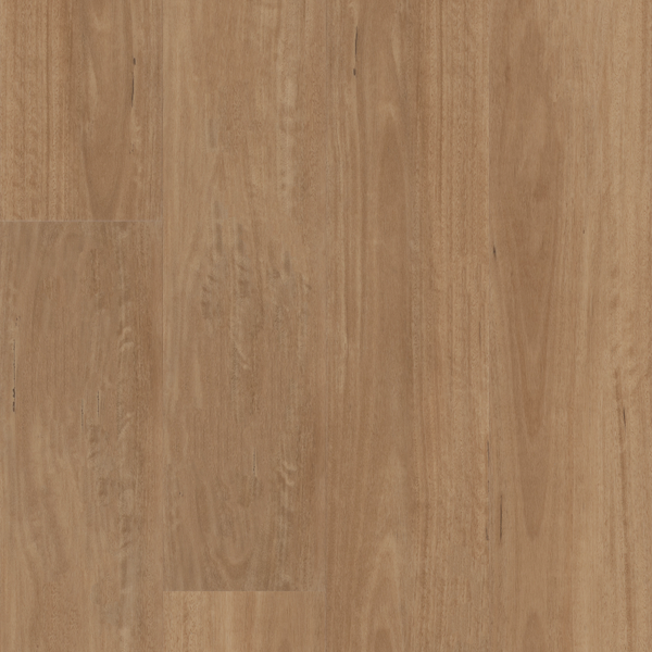 Shaw Floorte Aspire Natural Bevel 3381V-02110 Golden Shores 9