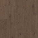 Shaw Fresh Take 3415V-00935 Tuxedo Bronze 8.86
