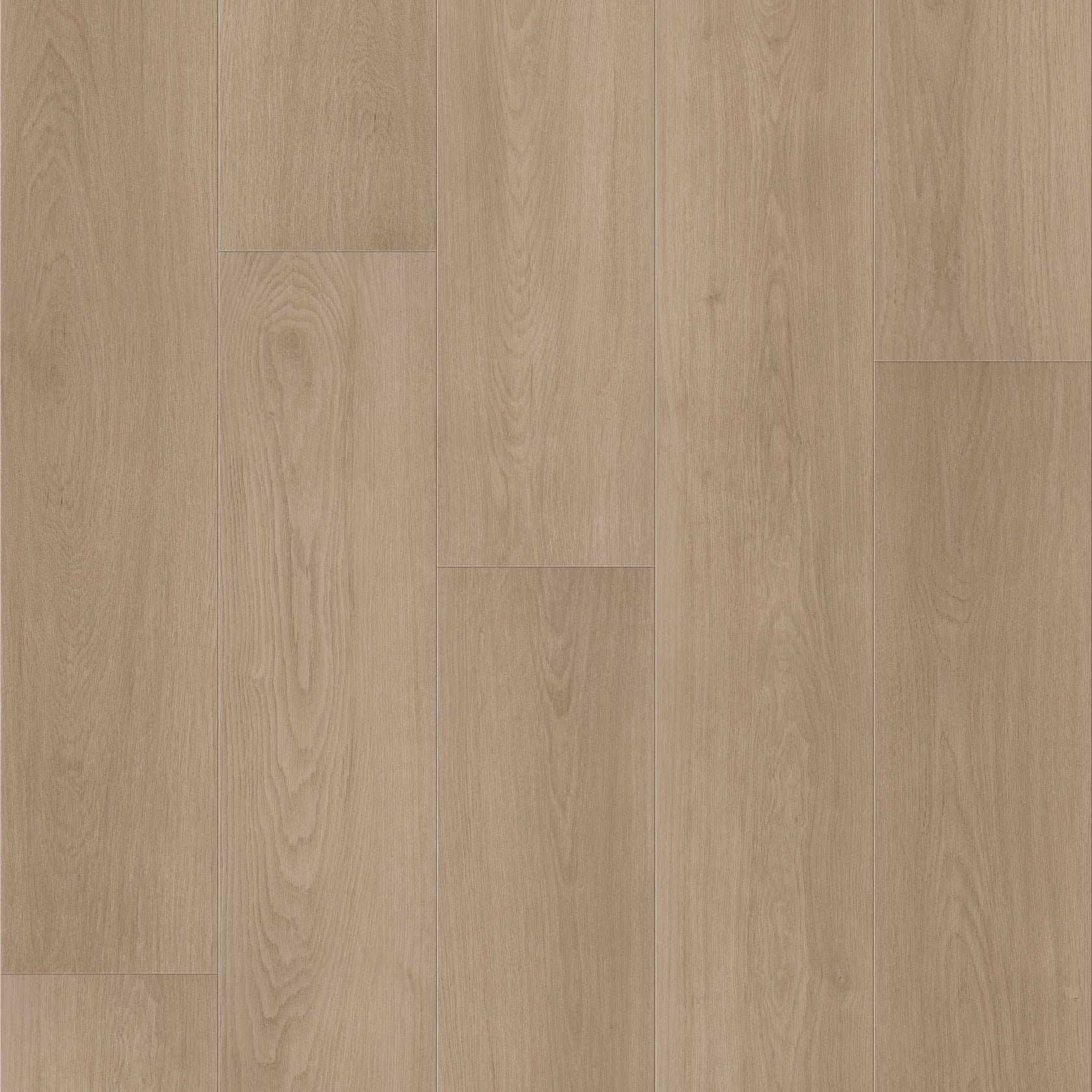 Shaw Fresh Take 3415V-05209 Lounge Greige 8.86
