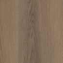Shaw Homebound 3430V-07358 Mocha 7