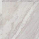 Shaw Apex 3438V-91010 Opal 12