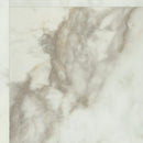 Shaw Apex 3438V-91100 Alabaster 12