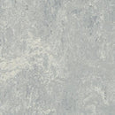 Forbo Marmoleum Modular Tile T2621-156338 Dove Grey Linoleum Tile Flooring (Partial Piece - Sample)