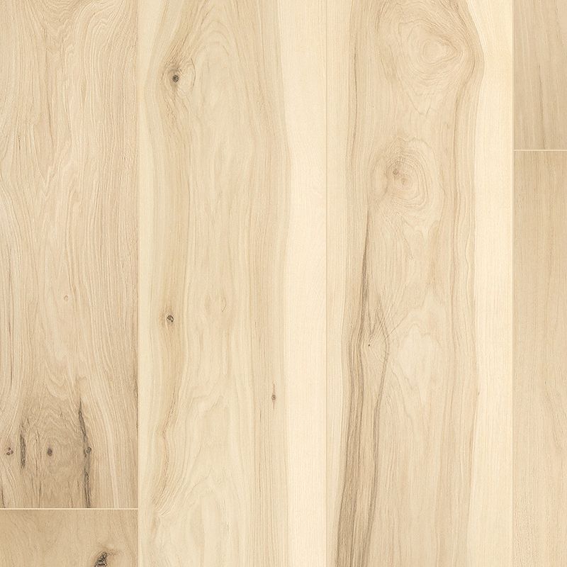 Pergo Elements Prestano PSR09-01 Sugared Hickory  Laminated Wood (Partial Piece - Sample)