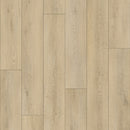 Paradigm Flooring Conquest Enchantment CON2023PAD SPC Luxury Vinyl Plank 9