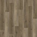 Paradigm Flooring Insignia Morning Dew PI20036 WPC Luxury Vinyl Plank 9