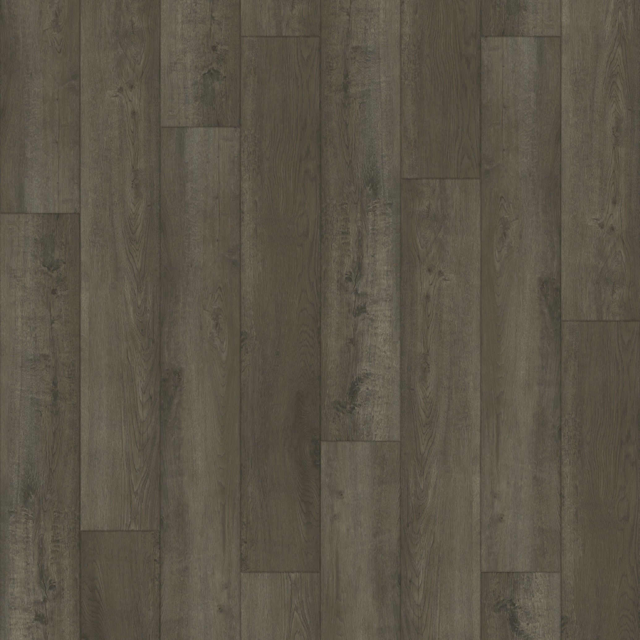 Paradigm Flooring Insignia Molokai PI20032 WPC Luxury Vinyl Plank 9" x 60"