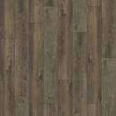 Paradigm Flooring Insignia Tigers Eye PI20018 WPC Luxury Vinyl Plank 9