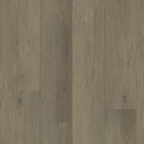Paradigm Flooring Performer Plus Tern PPPSPC2027 SPC Luxury Vinyl Plank 9” x 60