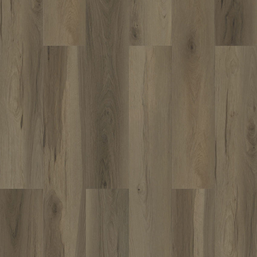Paradigm Flooring Performer Plus Toucan PPPSPC2008 SPC Luxury Vinyl Plank 9” x 60" (22.38 SF/Box)