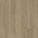 Paradigm Flooring Performer Plus Swallow PPPSPC2026 SPC Luxury Vinyl Plank 9” x 60