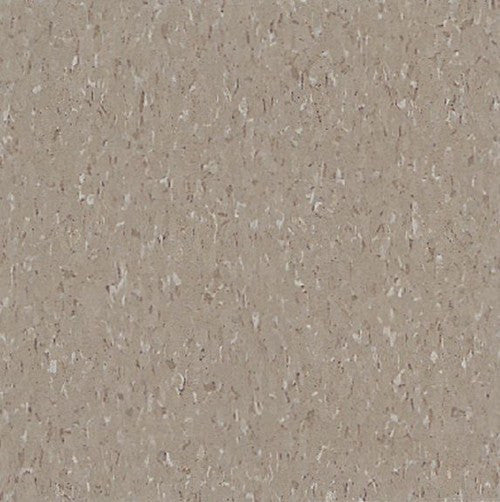 Armstrong 51804 Earthstone Greige Standard Excelon Imperial Texture Vinyl Composition Tile VCT (Partial Piece - Sample)