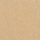 Armstrong 51805 Camel Beige Standard Excelon Imperial Texture Vinyl Composition Tile VCT (Partial Piece - Sample)