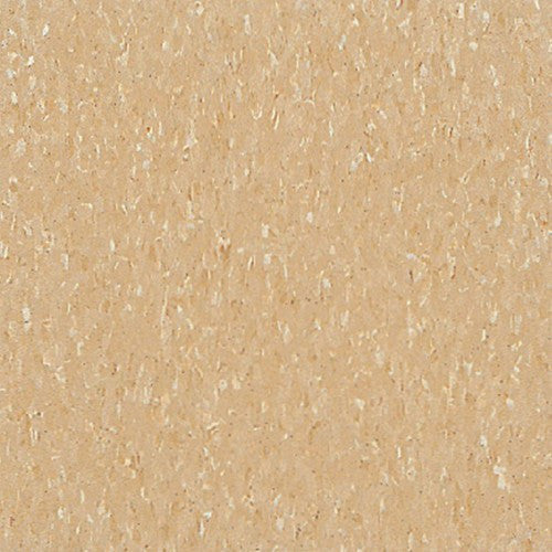 Armstrong 51805 Camel Beige Standard Excelon Imperial Texture Vinyl Composition Tile VCT (Partial Piece - Sample)