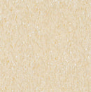 Armstrong 51809 Desert Beige Standard Excelon Imperial Texture Vinyl Composition Tile VCT (Partial Piece - Sample)