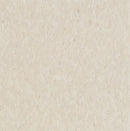 Armstrong 51810 Washed Linen Standard Excelon Imperial Texture Vinyl Composition Tile VCT (Partial Piece - Sample)