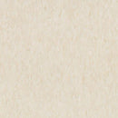 Armstrong 51811 Antique White Standard Excelon Imperial Texture Vinyl Composition Tile VCT (Partial Piece - Sample)
