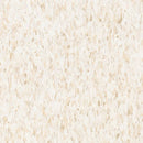 Successions HPT 20 mil Luxury Vinyl Tile Bone 12