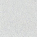 Armstrong 51860 Soft Cool Gray Standard Excelon Imperial Texture Vinyl Composition Tile VCT (Partial Piece - Sample)
