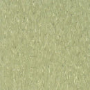 Armstrong 51866 Little Green Apple Standard Excelon Imperial Texture Vinyl Composition Tile VCT (Partial Piece - Sample)