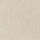 Armstrong 51876 Mint Cream Standard Excelon Imperial Texture Vinyl Composition Tile VCT (Partial Piece - Sample)