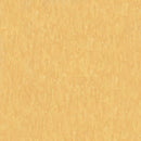 Armstrong 51878 Golden Standard Excelon Imperial Texture Vinyl Composition Tile VCT (Partial Piece - Sample)