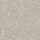 Armstrong 51883 Dusty Miller Standard Excelon Imperial Texture Vinyl Composition Tile VCT (Partial Piece - Sample)