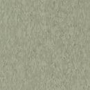 Armstrong 51885 Granny Smith Standard Excelon Imperial Texture Vinyl Composition Tile VCT (Partial Piece - Sample)