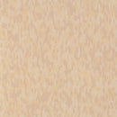 Armstrong Excelon SDT 51954 Sandstone Beige VCT Tile (Partial Piece - Sample)