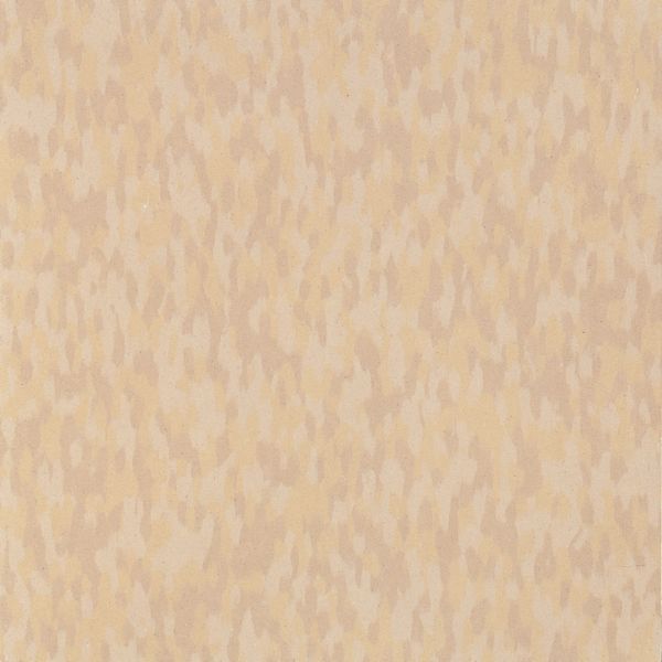 Armstrong Excelon SDT 51954 Sandstone Beige VCT Tile (Partial Piece - Sample)