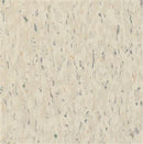 Armstrong Standard Excelon MultiColor 52520 Faire White VCT Tile (Partial Piece - Sample)
