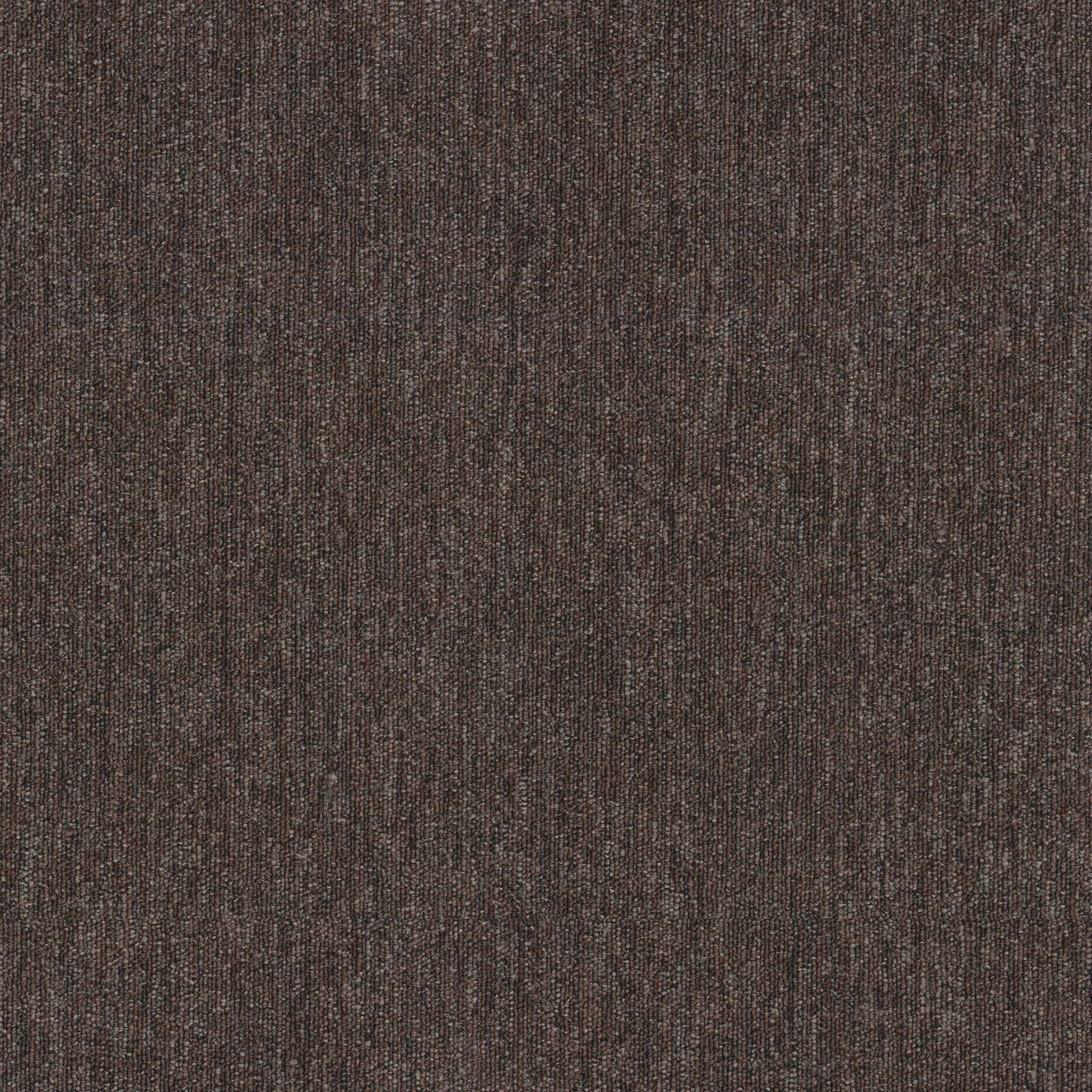 Shaw Beyond Limits 5th & Main 54936-00725 Area Carpet Tile (Partial Piece - Sample)