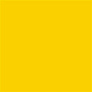 Armstrong Premium Excelon Feature Tile & Strip 56823 Yellow II VCT Tile (Partial Piece - Sample)
