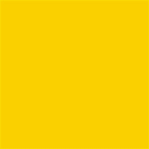 Armstrong Premium Excelon Feature Tile & Strip 56823 Yellow II VCT Tile (Partial Piece - Sample)