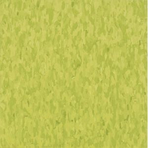 Armstrong 57510 Kickin Kiwi Standard Excelon Imperial Texture Vinyl Co